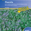 Phacelia (2 Kg) | Phaceliasamen Von Kiepenkerl