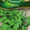 Stevia Süßkraut | Steviasamen Von Quedlinburger