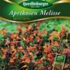 Aprikosen Melisse | Melissensamen  Von Quedlinburger