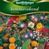 Sommerabend Mischung | Sonnenblumensamen Von Quedlinburger