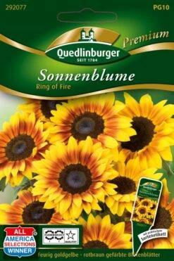 Sonnenblumen Ring Of Fire | Sonnenblumensamen Von Quedlinburger