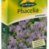 Phacelia 300 G | Phaceliasamen Von Quedlinburger