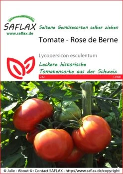 Günstiges Garten Wege Geschäft -Günstiges Garten Wege Geschäft 535609 Tomate Rose de Berne 13408 sa 0