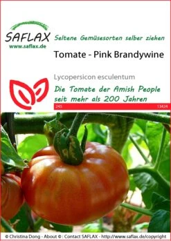 Günstiges Garten Wege Geschäft -Günstiges Garten Wege Geschäft 535612 Tomate Pink Brandywine 13424 sa 0