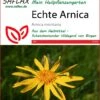Echte Arnica | Heilpflanzensamen Von Saflax