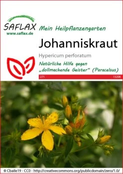 Johanniskraut | Johanniskrautsamen Von Saflax -Günstiges Garten Wege Geschäft 535656 Johanniskraut 15208 sa 0