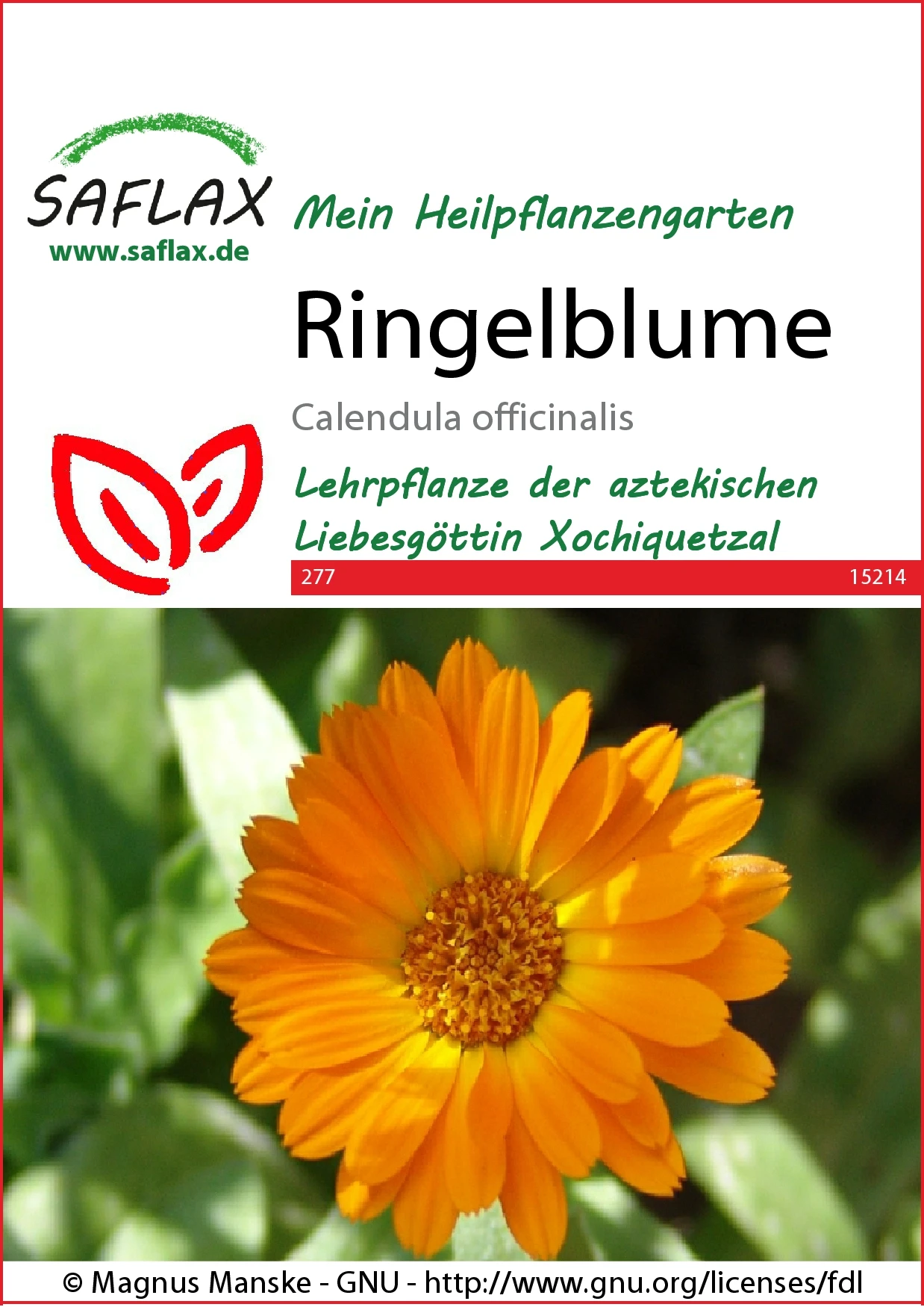 Ringelblume | Ringelblumensamen Von Saflax 1 Ringelblume | Ringelblumensamen Von Saflax
