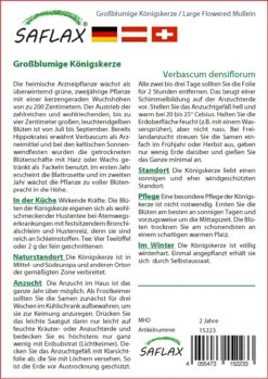 Großblumige Königskerze | Heilpflanzensamen Von Saflax -Günstiges Garten Wege Geschäft 535671 Grossblumige Koenigskerze 15223 sa 1