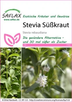 Süßkraut Stevia | Steviasamen Von Saflax -Günstiges Garten Wege Geschäft 535676 Suesskraut Stevia 17502 sa 0