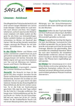Günstiges Garten Wege Geschäft -Günstiges Garten Wege Geschäft 535681 Limonen Aniskraut 17509 sa 1