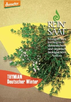 Thymian, Deutscher Winter | BIO Thymiansamen Von Reinsaat