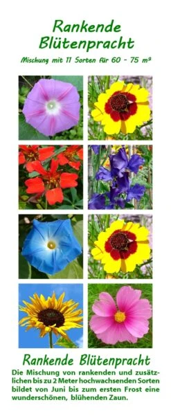 Rankende Blütenpracht | Blumenmischung Von Saflax