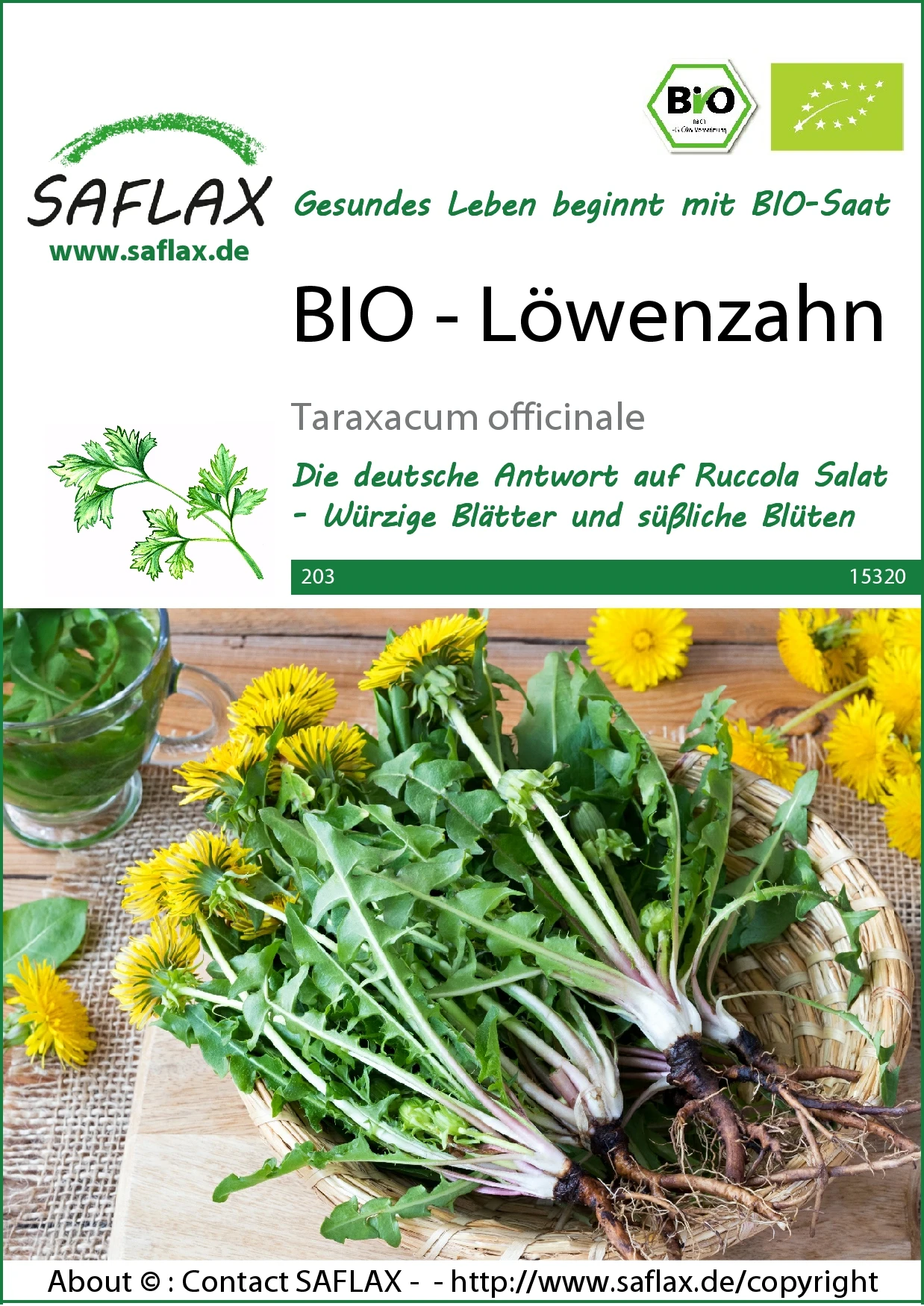Löwenzahn | BIO Löwenzahnsamen Von Saflax 2 Löwenzahn | BIO Löwenzahnsamen Von Saflax – Bild 2