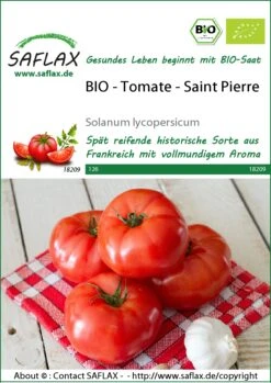 Tomate Saint Pierre | BIO Tomatensamen Von Saflax -Günstiges Garten Wege Geschäft 540070 Bio Tomate Saint Pierre 18209 sa 0
