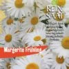 Margerite Frühling | BIO Margeritensamen Von Reinsaat