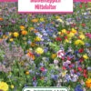 Blumenwiese Blumenteppich Mittelalter (100 G) | Blumensamen Von Bertrand