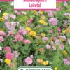 Blumenwiese Blumenteppich Loiretal (100 G) | Blumensamen Von Bertrand