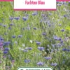 Blumenwiese Farbton Blau (100 G) | Blumensamen Von Bertrand