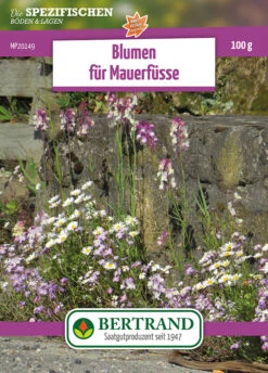 Blumenwiese Blumen Für Mauerfüsse (100 G) | Blumensamen Von Bertrand