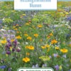 Blumenwiese Blumen Für Nützlinge (100 G) | Blumensamen Von Bertrand
