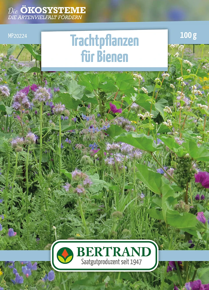 Blumenwiese Honigblumenwiese OFA Einjährig (100 G) | Blumensamen Von Bertrand 1 Blumenwiese Honigblumenwiese OFA Einjährig (100 G) | Blumensamen Von Bertrand