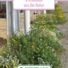 Blumenwiese IPM Wildblumenmischung (100 G) | Blumensamen Von Bertrand