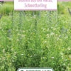 Blumenwiese Schmetterlingswiese (100 G) | Blumensamen Von Bertrand