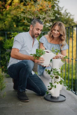 Sissi Strawberry Erdbeerturm Starter Weiß (4 Etagen) | Erdbeertürme Von Gusta Garden -Günstiges Garten Wege Geschäft 543337 Sissy Strawberry starter weiss 4 Etagen 5