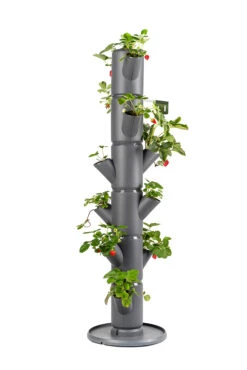 Sissi Strawberry Erdbeerturm Classic Anthrazit (6 Etagen) | Erdbeertürme Von Gusta Garden -Günstiges Garten Wege Geschäft 543340 Sissy Strawberry classic anthrazit 6 Etagen