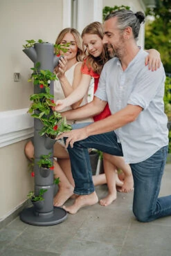 Sissi Strawberry Erdbeerturm Classic Anthrazit (6 Etagen) | Erdbeertürme Von Gusta Garden -Günstiges Garten Wege Geschäft 543340 Sissy Strawberry classic anthrazit 6 Etagen 4