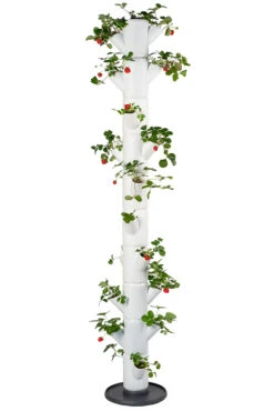 Sissi Strawberry Erdbeerturm Infinity Weiß (10 Etagen) | Erdbeertürme Von Gusta Garden -Günstiges Garten Wege Geschäft 543343 Sissy Strawberry infinity weiss 10 Etagen