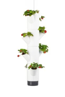 Sissi Strawberry Erdbeerturm Hanging Weiß (4 Etagen) | Erdbeertürme Von Gusta Garden -Günstiges Garten Wege Geschäft 543597 Sissi Strawberry Hanging weiss 4 Etagen