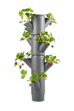 Sissi Strawberry Erdbeerturm Hanging Anthrazit (4 Etagen) | Erdbeertürme Von Gusta Garden -Günstiges Garten Wege Geschäft 543598 Sissi Strawberry Hanging anthrazit 4 Etagen
