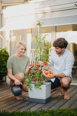 Tom Tomato Tomatentopf Hellgrau | Tomatentöpfe Von Gusta Garden -Günstiges Garten Wege Geschäft 547957 Tom Tomato Hellgrau 6