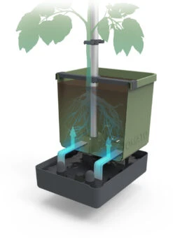 Tom Tomato Tomatentopf Dunkelgrün | Tomatentöpfe Von Gusta Garden -Günstiges Garten Wege Geschäft 547958 Tom Tomato Dunkelgruen 2