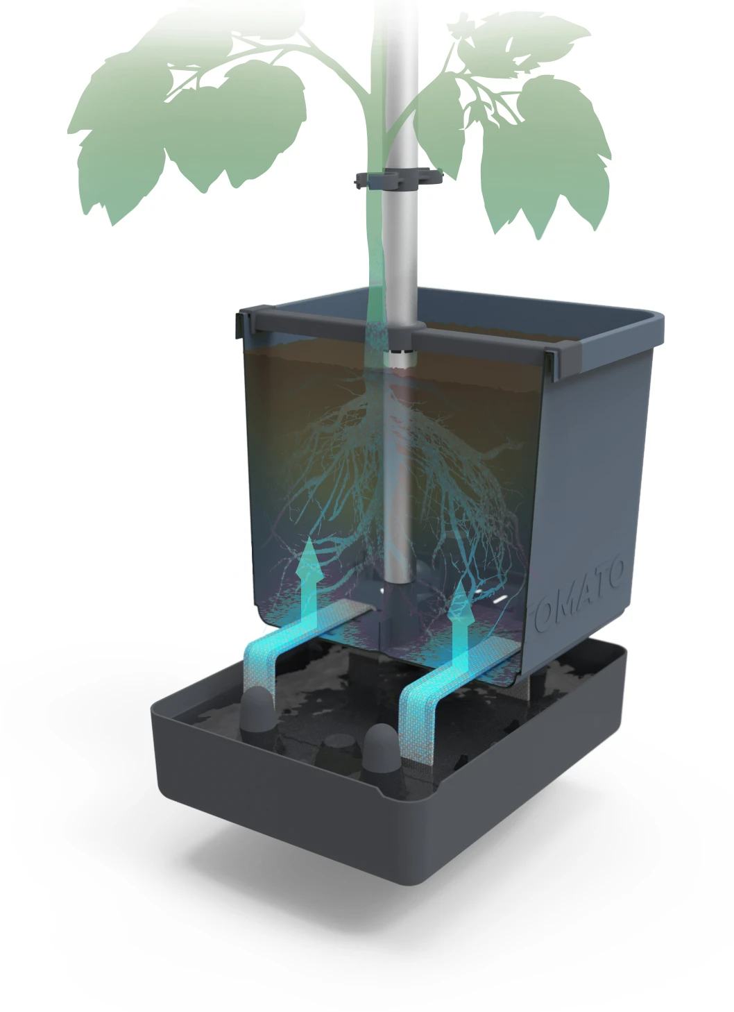 Tom Tomato Tomatentopf Blau | Tomatentöpfe Von Gusta Garden 3 Tom Tomato Tomatentopf Blau | Tomatentöpfe Von Gusta Garden – Bild 3