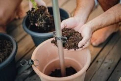 Tomato Buddy Tomatenrankhilfe | Rankhilfen Von Gusta Garden -Günstiges Garten Wege Geschäft 547960 Tomato Buddy 5