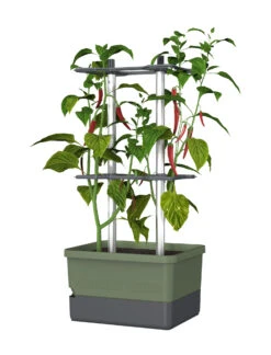 Charly Chili Chilitopf Dunkelgrün | Chilitöpfe Von Gusta Garden -Günstiges Garten Wege Geschäft 548627 Charly Chili Chilitopf dunkelgruen 103710 gg 0