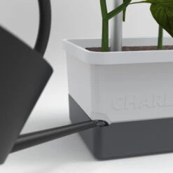 Charly Chili Chilitopf Hellgrau | Chilitöpfe Von Gusta Garden -Günstiges Garten Wege Geschäft 548628 Charly Chili Chilitopf hellgrau 100710 gg 3