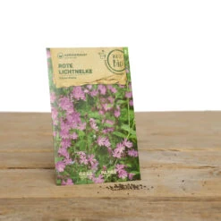 Wildblumen Set Stay Wild | BIO Wildblumensamen Von Samen Maier 9 Wildblumen Set Stay Wild | BIO Wildblumensamen Von Samen Maier -Günstiges Garten Wege Geschäft 549603 BIO Wildblumen Set Stay Wild A02 sm 1