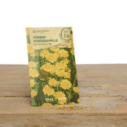 Wildblumen Set Stay Wild | BIO Wildblumensamen Von Samen Maier 7 Wildblumen Set Stay Wild | BIO Wildblumensamen Von Samen Maier -Günstiges Garten Wege Geschäft 549603 BIO Wildblumen Set Stay Wild A02 sm 2