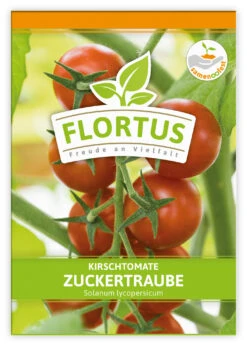 Kirschtomate Zuckertraube (100 Stück) | Kirschtomatensamen Von FLORTUS -Günstiges Garten Wege Geschäft 549864 Kirschtomate Zuckertraube 100 Stueck 2000 0481 100x 1