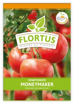 Tomate Moneymaker (100 Stück) | Tomatensamen Von FLORTUS -Günstiges Garten Wege Geschäft 549868 Tomate Moneymaker 100 Stueck 2000 0485 100x 1