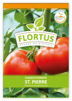 Fleischtomate St. Pierre (100 Stück) | Fleischtomatensamen Von FLORTUS -Günstiges Garten Wege Geschäft 549879 Fleischtomate St Pierre 100 Stueck 2000 0496 100x 1