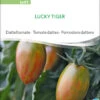 Datteltomate Lucky Tiger | BIO Stabtomatensamen Von Sativa Rheinau
