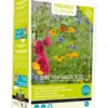 Friendly Flowers XL Essbare Blumenmischung (50 M²) | Blumensamenmischung Von Buzzy Seeds