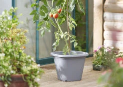 Tomatentopf Anthrazit | Tomatentöpfe Von Clever Pots