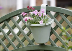 Hängeblumentopf Salbei | Blumentöpfe Von Clever Pots -Günstiges Garten Wege Geschäft 553528 Haengeblumentopf Salbei 1 Stueck 519761 kp 5