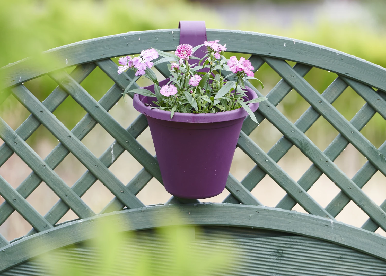 Hängeblumentopf Pink | Blumentöpfe Von Clever Pots 1 Hängeblumentopf Pink | Blumentöpfe Von Clever Pots