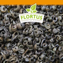 Ringelblumen Mischung | Blumenwiese Von FLORTUS 9 Ringelblumen Mischung | Blumenwiese Von FLORTUS -Günstiges Garten Wege Geschäft 554533 Ringelblumen Mischung 1 kg 530747 Ringelblumen Mischung 1 kg 2000 0209 6